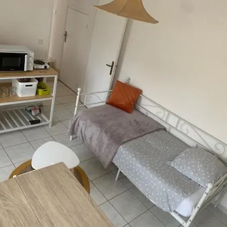 Studio Bord De Loire 公寓